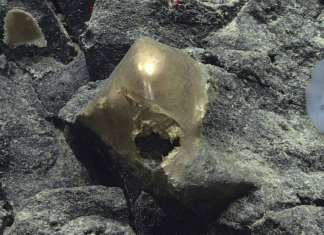 Após dois anos, cientistas desvendam mistério da bolha dourada vista nas profundezas do mar