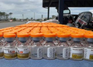 Anvisa intensifica cerco a canetas emagrecedoras do Paraguai e veta marca recém-anunciada