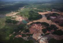 Garimpeiros saqueiam a floresta amazônica em busca de terras raras