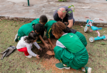 Campanha da Prefeitura de Cuiabá planta 400 mudas de árvore 