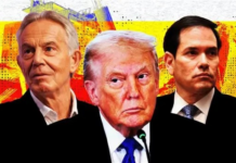 Conselho da Paz de Trump: quem são os membros e por que grupo é tão polêmico?