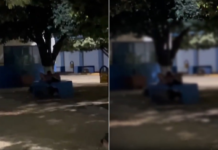 Mulher flagra casal fazendo sexo em banco de praça pública; veja vídeo