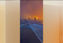 Incêndios florestais se espalham pela Europa em meio a onda de calor e obrigam retirada de moradores e turistas; FOTOS