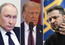 Zelensky critica acordo entre Trump e Putin sobre diesel russo: 'Investimento na guerra'